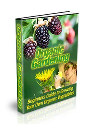 Organic Vegetable Gardening